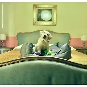visit hotel